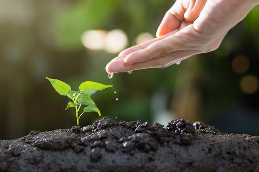ecologia salviamo il pianeta