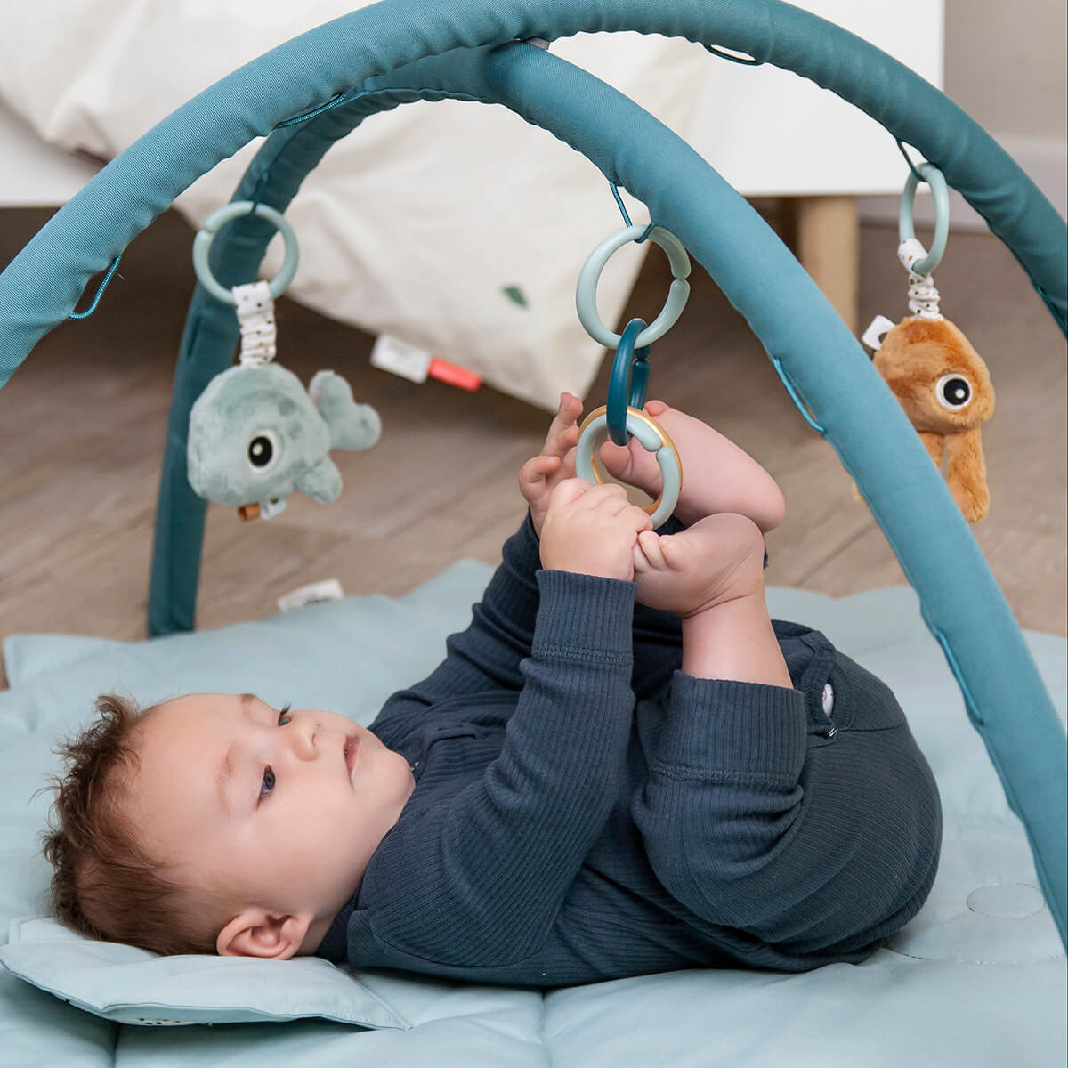 Palestrina done bydeer - friends of the sea, blue