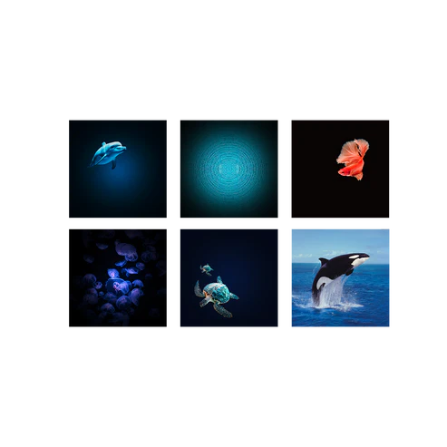 KIDYSTAR BIMBI – Proiettore Portatile Oceano