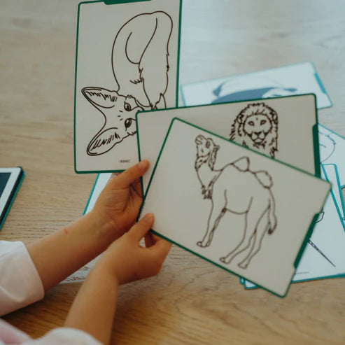 TAVOLA DA DISEGNO BAMBINI - Digitale, Animali nel Mondo
